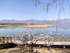 -野鸭湖国家湿地公园