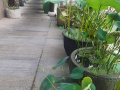 -道南書院·私房菜·早午茶·茶馆