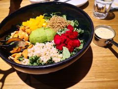 芥子酱羽翼甘蓝沙拉-小大董·烤鸭(五棵松店)