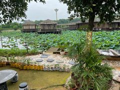 -军山湖云水间生态农业旅游景区