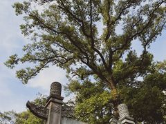 -灵谷景区