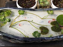 -秦美花卉(天朗·莱茵小城2期店)