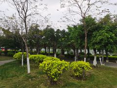 -飞来湖湿地公园