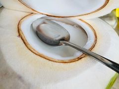 -墨脱石锅椰子鸡•香草鸭•东山羊(大东海店)