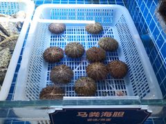 -鼎泰亨·海鲜牛肉餐厅(滨江店)