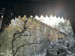 -拙政园