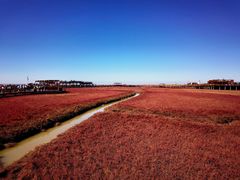-红海滩国家风景廊道