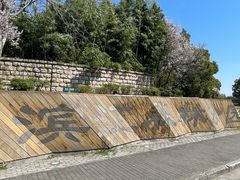 -上海滨江森林公园