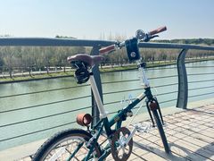 -DAHON大行折叠自行车(松江旗舰店)