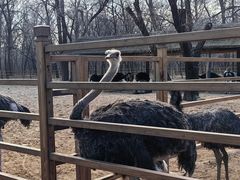 -秦皇岛野生动物园