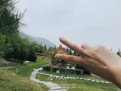 -沣峪口