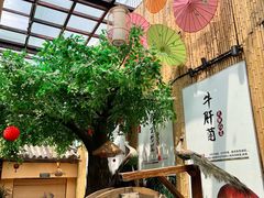 -大理董·董家小厨野生菌火锅(古城旗舰店)
