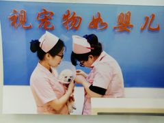 -宠颐生中康贝怡动物医院