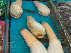 -亚龙湾8号(丁村万人海鲜广场店)