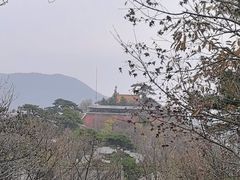 -妙峰山风景名胜区