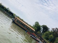 -泗洪洪泽湖湿地景区