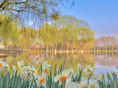 -石家庄市植物园