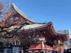 -浅草寺