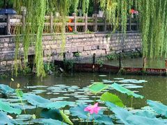 -济南大明湖景区
