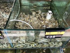 -四海鲜渔家菜(黄金海岸店)