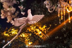 -红丝高端婚礼中心(旗舰店)