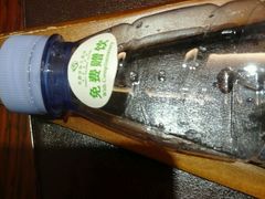 -圣爵菲斯大酒店(长沙世界之窗店)