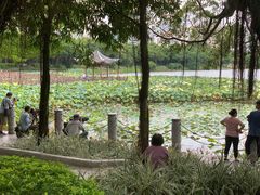 -南宁南湖公园
