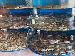 -蓝珊甄选海鲜自助·火锅大排档(近阿那亚店)
