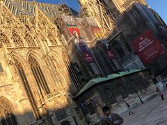 -斯蒂芬主教座堂(Stephansdom)