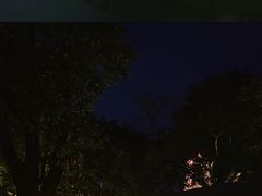 -Supine Bistro溯泮餐厅