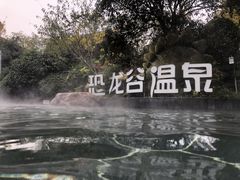 -常州环球恐龙城维景国际大酒店