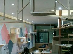 大堂-滚猫咖啡·猫咖·猫友好撸猫(未来城店)