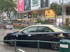 -陈光记烧腊店(罗保博士街店)