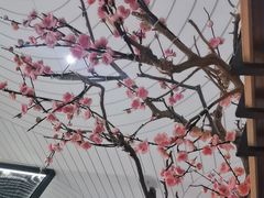 -老板恋上鱼(环山路店)