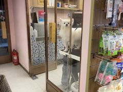 -FAELING PETS美天灵宠物(富力广场店)