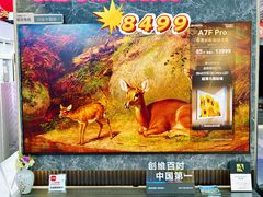 -苏宁易购(Suning Pro深圳华强北店)