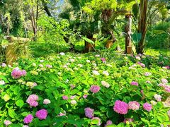 -六鳌翡翠湾滨海度假景区