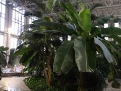 -中家鑫园温泉酒店鑫悦汤泉