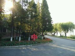 android_upload_pic-太阳岛度假酒店