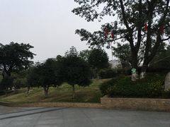 -沙河三洞古桥公园