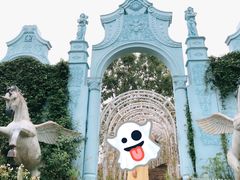 -大塘金香草谷
