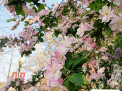 -民园广场