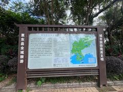 -广东惠东海龟国家级自然保护区