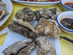 -老青岛海味当家菜馆(银鱼巷店)