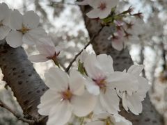 -上海交通大学(闵行校区)