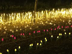 -怡海公园(桂城街道)