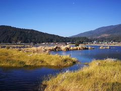 -腾冲北海湿地