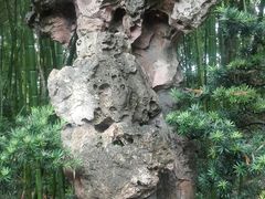 -水绘园