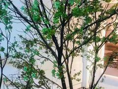 -蜜桃餐厅·伴山(湖滨商业街店)