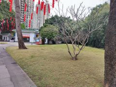 -晓港公园